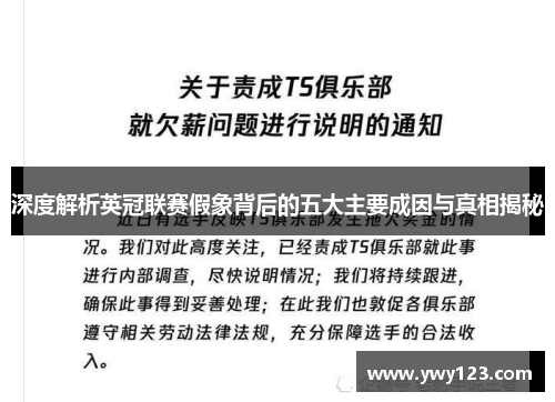 深度解析英冠联赛假象背后的五大主要成因与真相揭秘